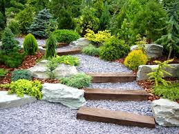 Professional Landscaping in Milton