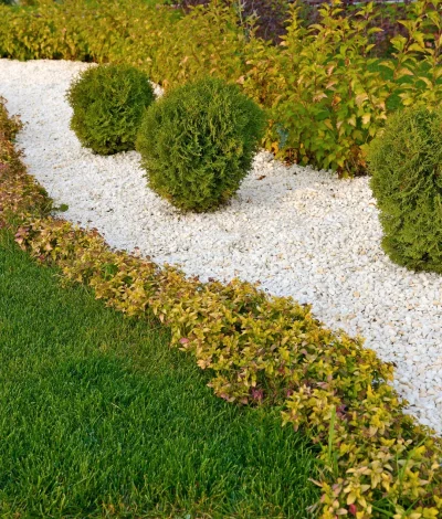 Untitled+design+-+2023-11-22T002730.175-1920w