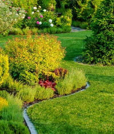 Untitled+design+-+2023-11-22T002741.994-1920w