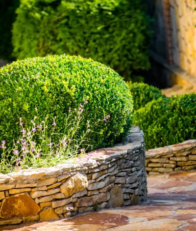 Untitled+design+-+2023-11-22T002759.472-1920w