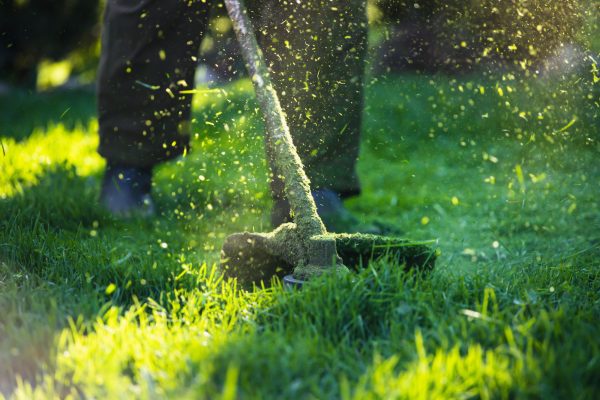 Lawn mover on green grass. Machine for cutting lawns.