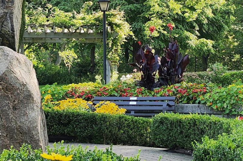 pexels-alex-ohan-204757441-27952956