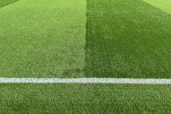 pexels-black-ibex-2040068-17264600 (1)