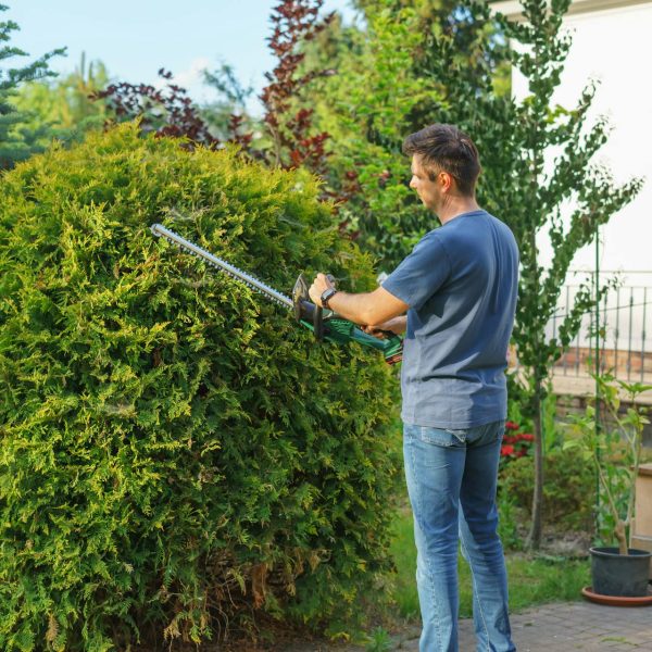 pexels-stitch-24595768