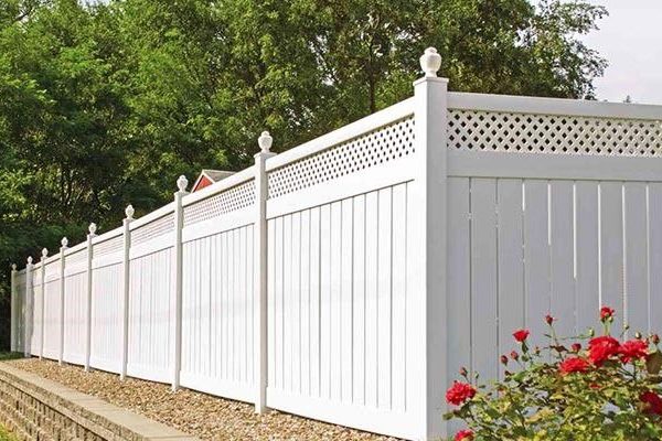 photo_2024-12-11_13-38-28